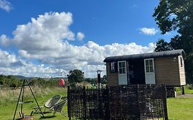 Toadland Shepherd Huts