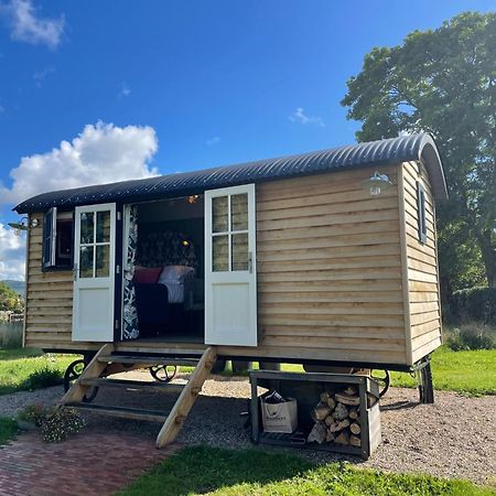 Toadland Shepherd Huts Durham Exterior photo